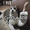 catclubandco