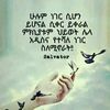 user8691228820954