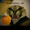 mandariina_1m