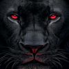alone.lion6