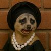 mrs87529
