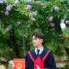 tuanthinh113