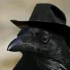 generalgrevus