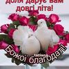 user11306765763267