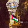 nour.aldin795