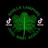 azollalampun
