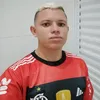 flavianogd