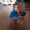 phm.hu.nhat.nhat