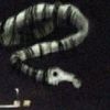 xcreepypasta_cewx