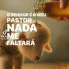 adison.soares