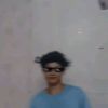 fjarlkm