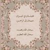 zezeahmed1265