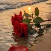 _20___zahra