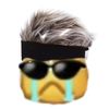 rye.wig.lab