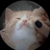 yelloow_shastane_playz