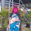 malihakhanachol7