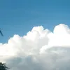 tiktok_som2014