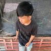 noylmt