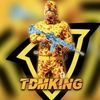kingtdm73
