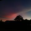 nanaa_23063