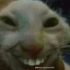 minhcoca5