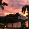 nhuquynh30692