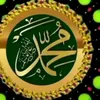 user81667412741143