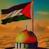md.hamid5347