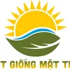 Hạt Giống Mặt Trời