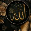 user282501798661850
