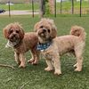 toby.macy
