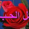 user6521509594976