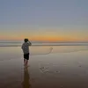 sacha_vdsw