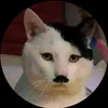 lechat3945