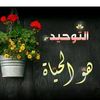 user14558086197051