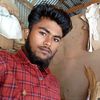 robinislam8494
