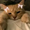 strawberrypie0255