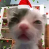 quejaru