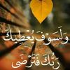 user8354567715033