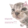 strawbearies11