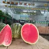 anakkampung1101