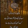 faiza.doll02