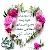 user8407054913294