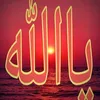 user1504312a