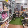 cubon.shop6