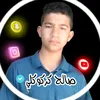 saleh_785s