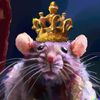 kingof_rats10