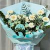 hamit6209