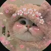 jamael.colaljo.ma