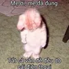 qtuyennnnnn